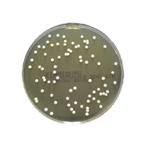 Oxoid Kimmig Agar