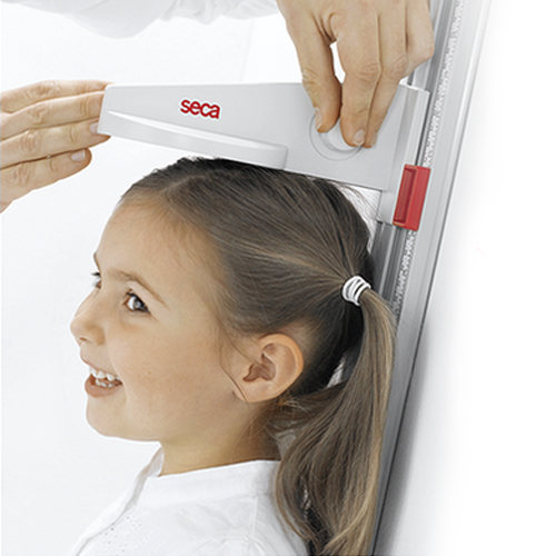 seca® 216 Messstab