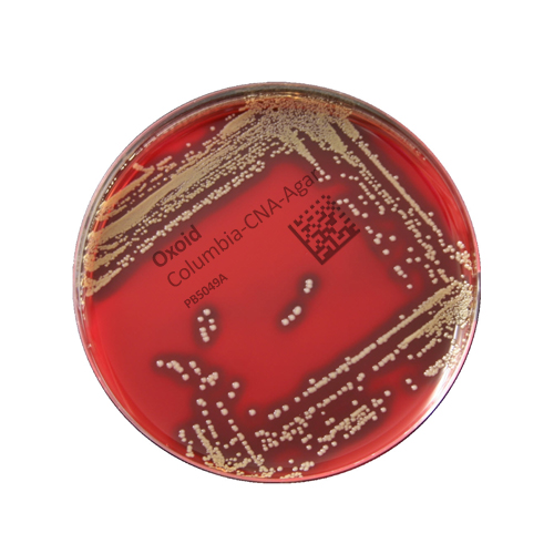 Oxoid Columbia-ANC-Agar